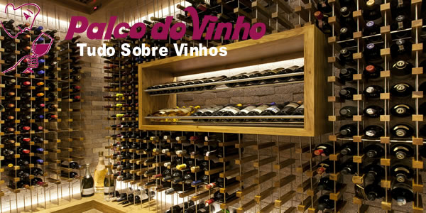 Melhores Formas Montar Uma Adega de Vinho