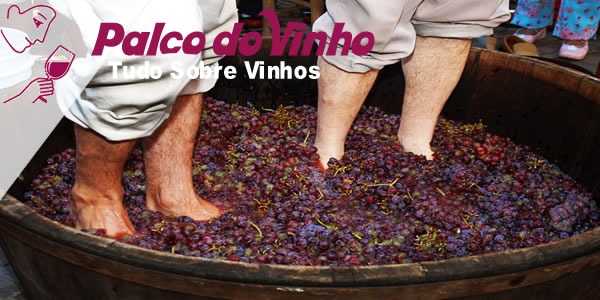 Como foi criado o vinho do Porto