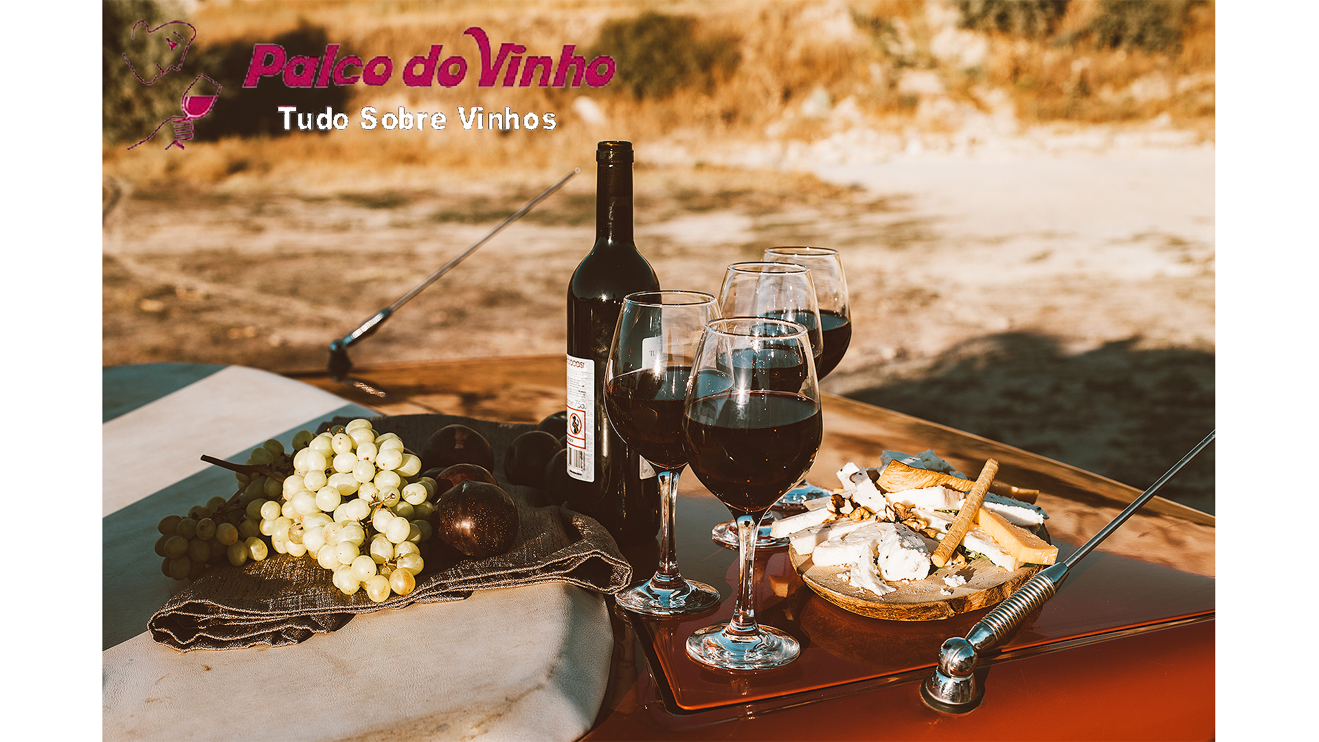 Os melhores vinhos da África do Sul e as marcas mais famosas