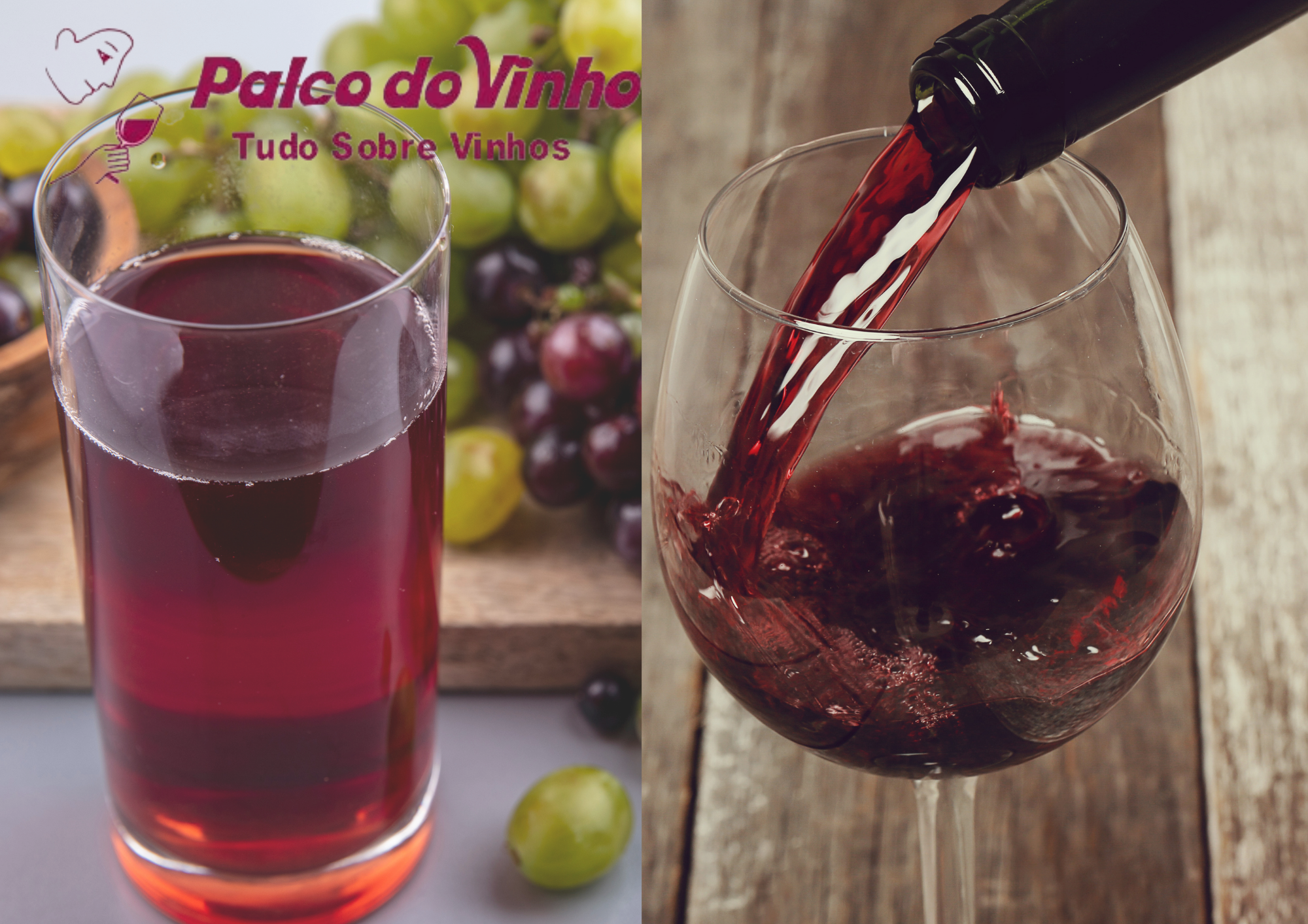 Suco de uva integral x Vinhos: Semelhanças e benefícios para saúde
