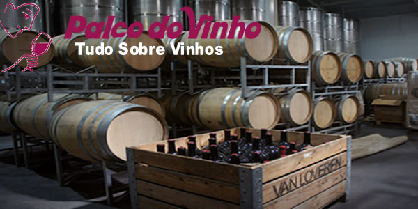 A Maior Fábrica de Vinho do Mundo: Uma Análise Detalhada