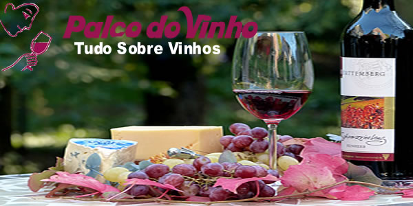 Como combater a ressaca do vinho?