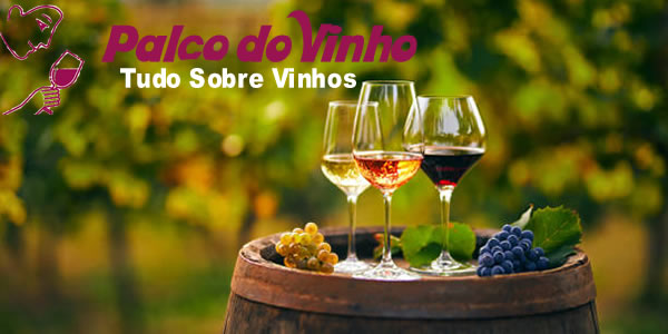  As melhores marcas de vinho e como escolher a sua: tudo o que você precisa saber 