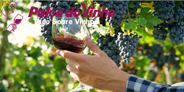 Uvas Usadas nos Melhores Vinhos do Mundo