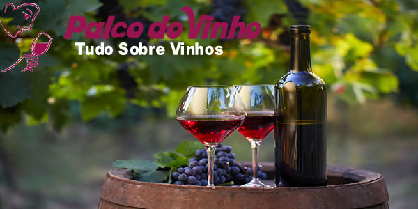 África do Sul: Um Destino Enológico a Descobrir