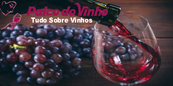 Descubra os vinhos secos mais vendidos