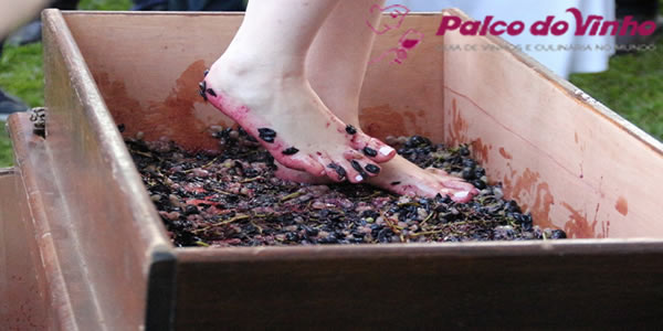 O Pisoteamento da Uva