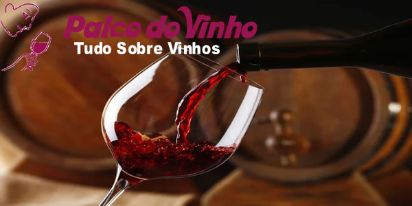  Onde Comprar os Melhores Vinhos