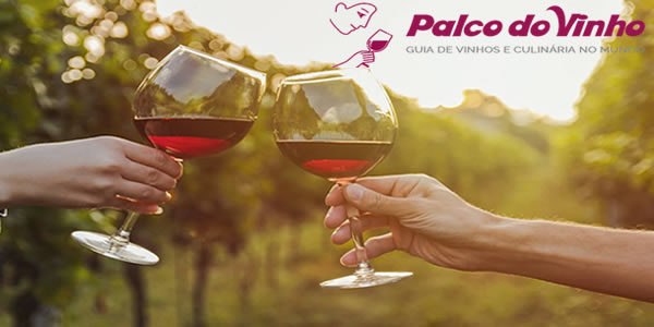 Beneficios de vinhos para saúde