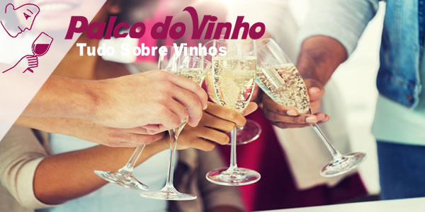 O que é Vinho Frisante: Suas Melhores Características Explicadas