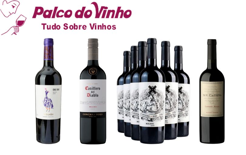 Os 10 Melhores Vinhos Malbec 2025