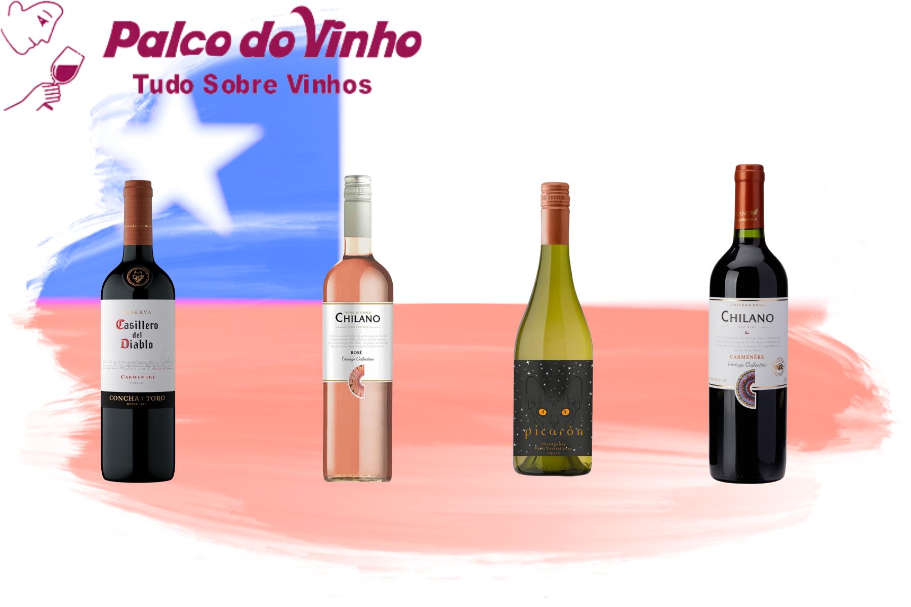Os 10 Vinhos Chilenos mais vendidos no Brasil 2025