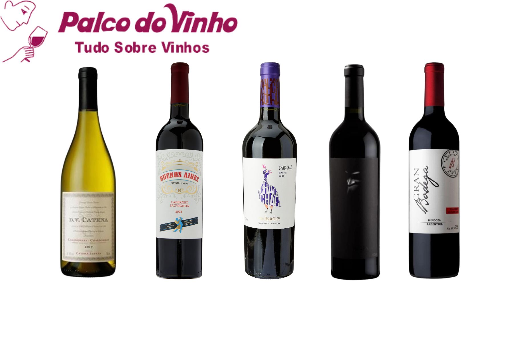 Os 10 vinhos Argentinos mais vendidos no Brasil 2025