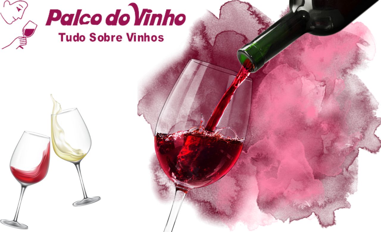 Como reconhecer um vinho de boa qualidade: Guia prático