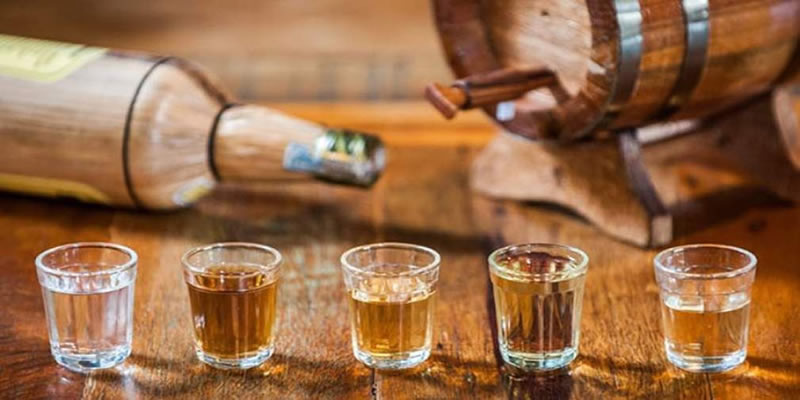 Melhores Cachaças do Brasil: Guia dos Destilados Premiados