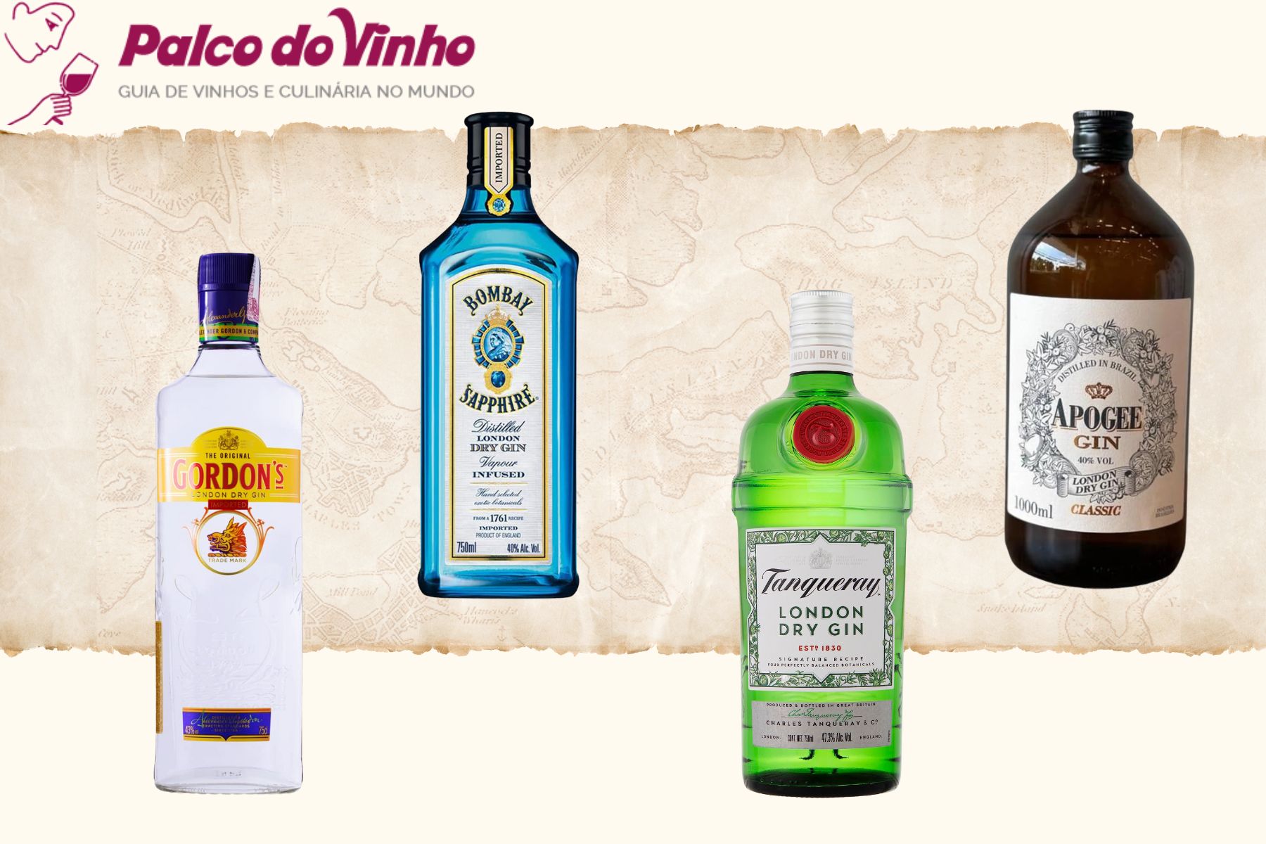 Os 10 Gin mais vendidos em 2025