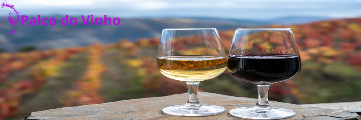 Vinho do Porto Ruby ou Tawny: Entenda as Diferenças e Escolha Ideal