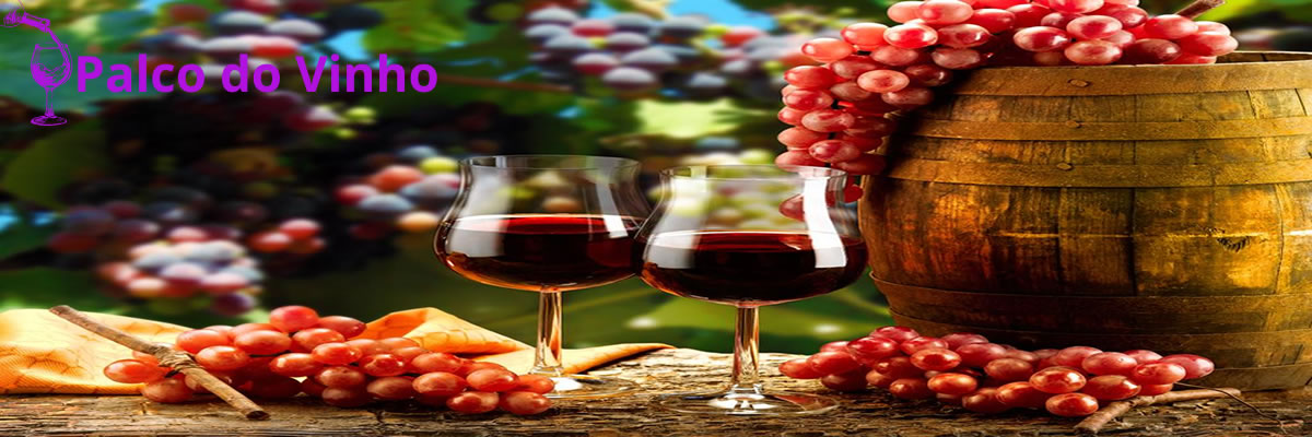 Qual o vinho mais suave: Merlot, Cabernet Sauvignon e Pinot Noir - Uma análise comparativa para iniciantes