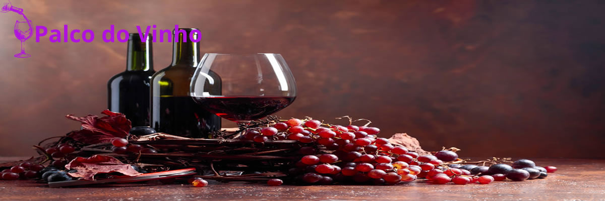Uva Pinot Noir: Descubra os melhores vinhos e harmonizações para uma experiência gastronômica refinada