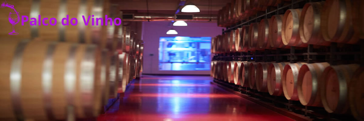 Vinho jovem ou vinho envelhecido? Entenda a idade do vinho! - Vinícola Campestre