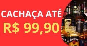 Becosa Steinhaeger 980 Ml