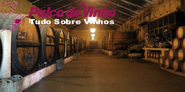 Amadurecimento do Vinho Amadurecimento do Vinho