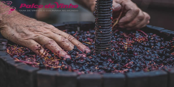Produção Caseira de Vinho