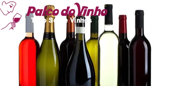 Os tipos de garrafas de vinho utilizadas no mercado