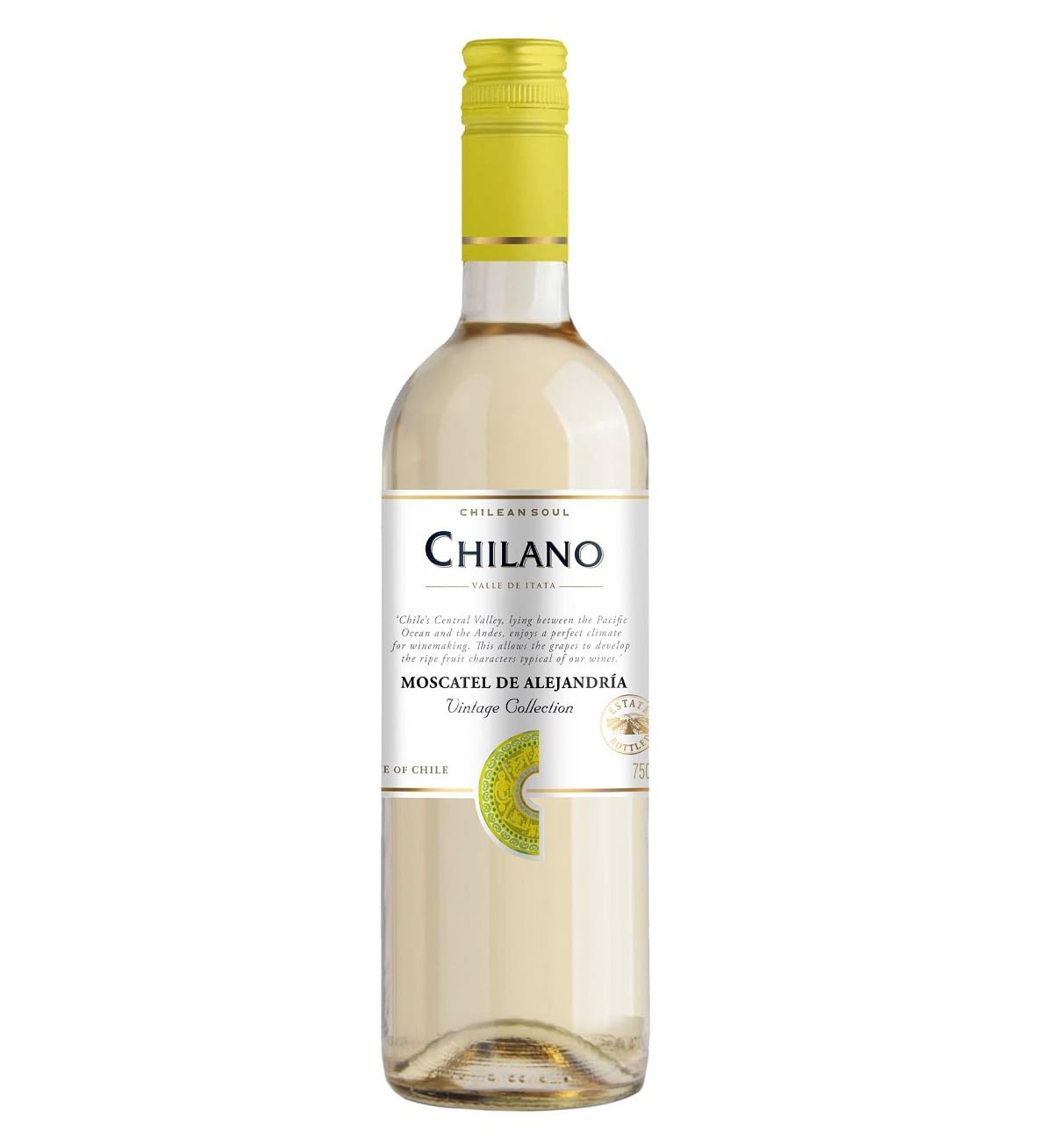 Vinho Chilano Sauvignon Blanc