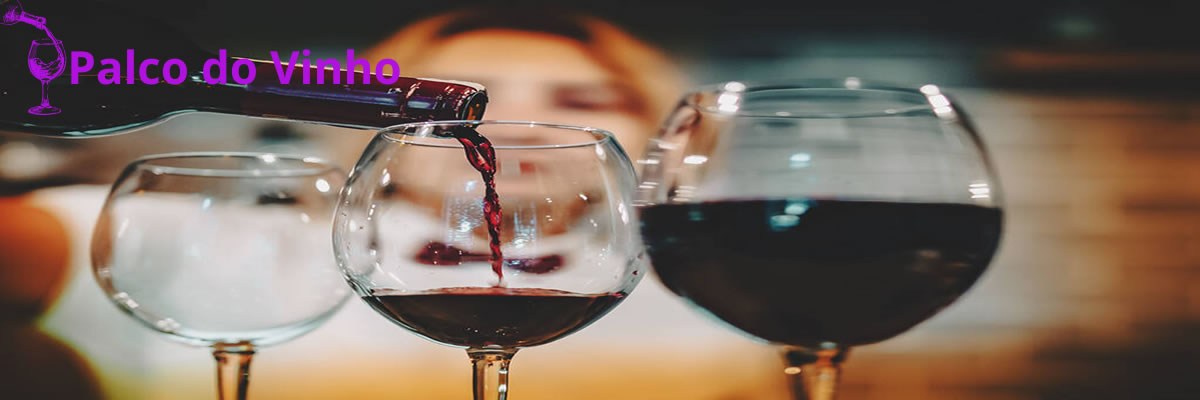 Mitos e verdades sobre o consumo de vinho na gravidez: o que você precisa saber