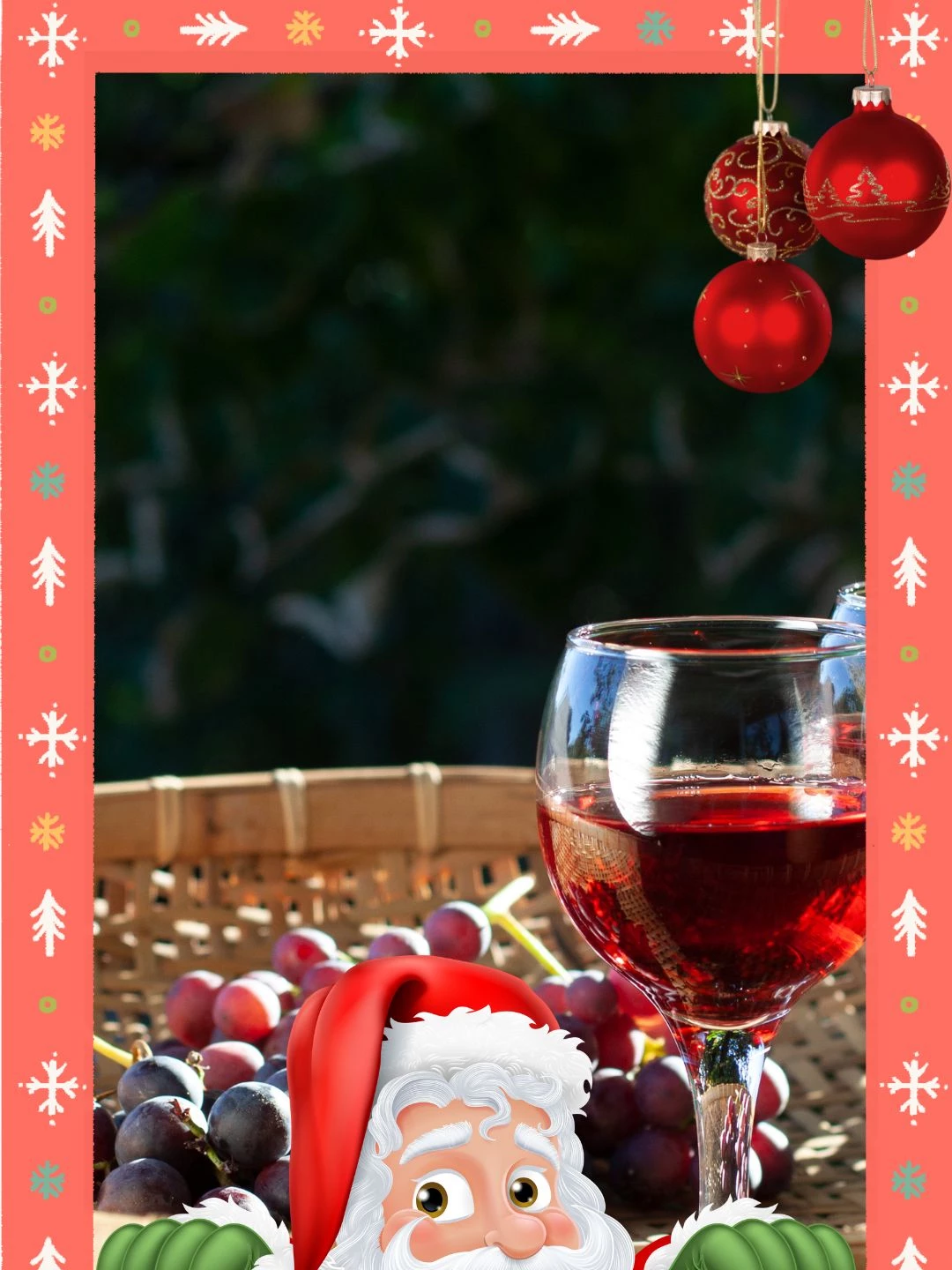 vinhos natal 1